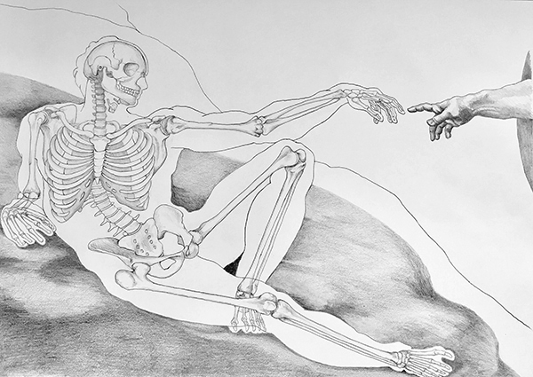 Skeletal Structure Study